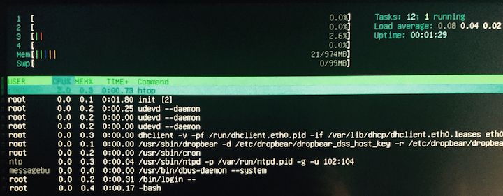 htop without installing any package